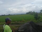 IMG-20250511-WA0023