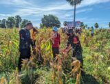 IMG-20250516-WA0095