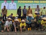 IMG-20250603-WA0084