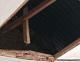 IMG-20250731-WA0045